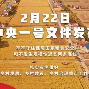 2022年中央一号文件提出推动乡村振兴取得新进展